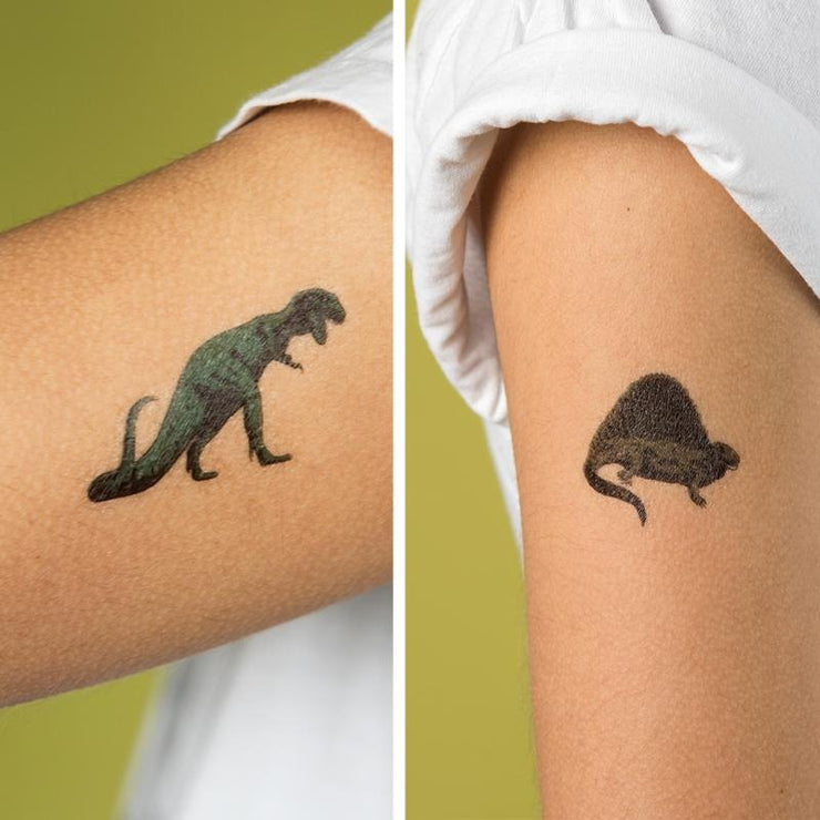 Prehistoric Land - Temporary Tattoos