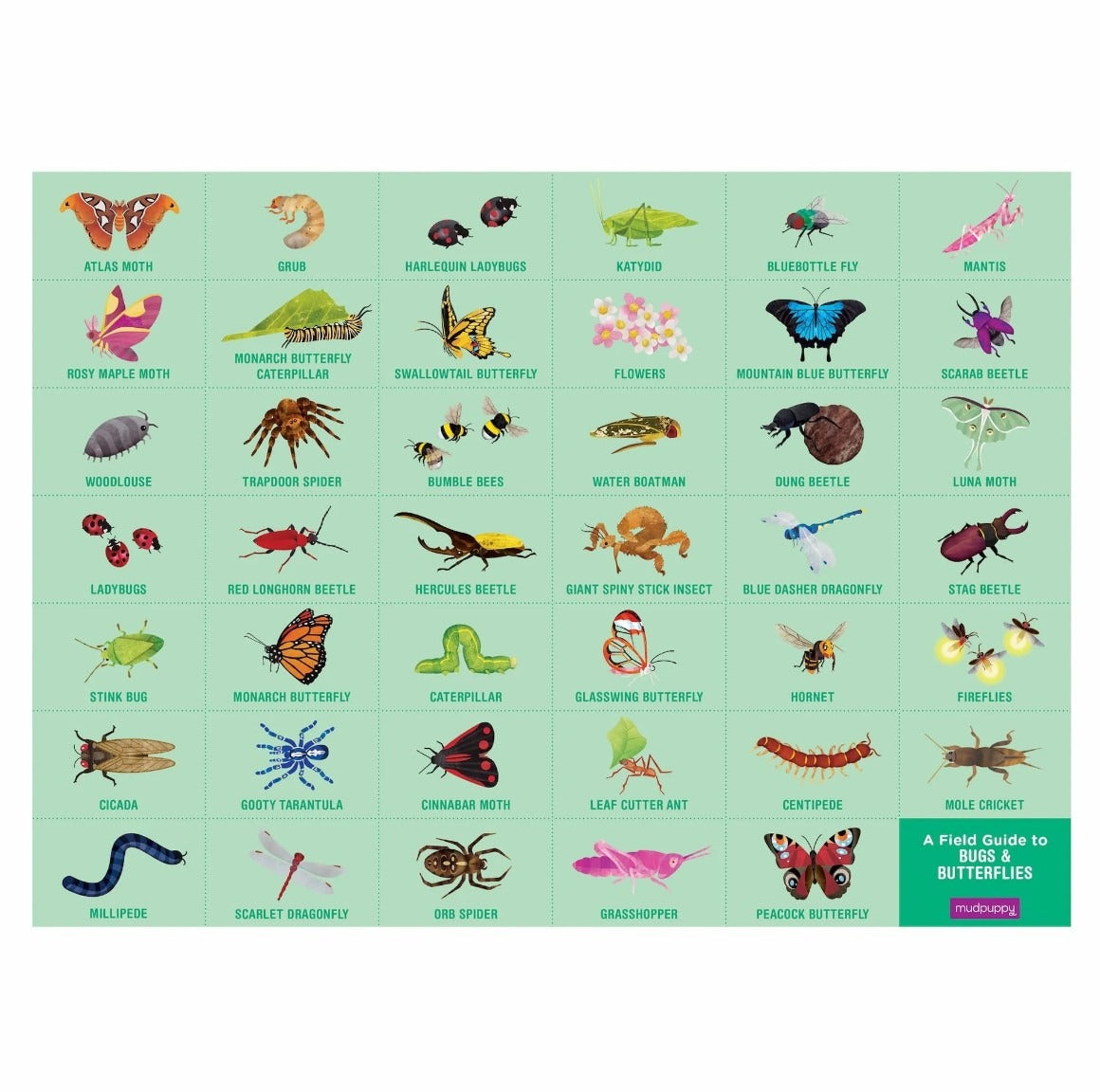 Bugs & Butterflies Search & Find 64 Piece Puzzle