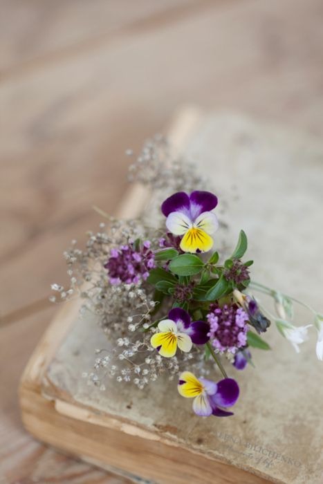 NZ Seed Bombs - Bouquet Blend