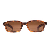 The Buzz Sunglasses - Turtle Dark Brown