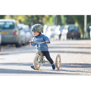 Steel Trybike - Vintage Green