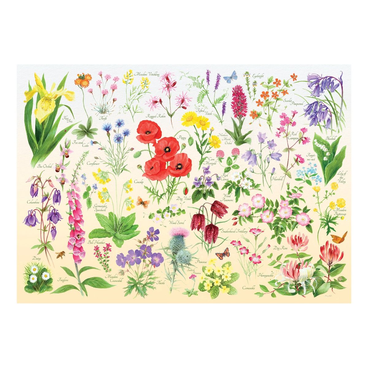 Tube Puzzle- 150 Piece