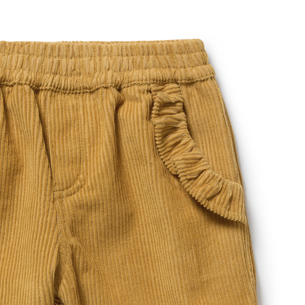 Amber Glow Organic Cord Pants Was $75 Now