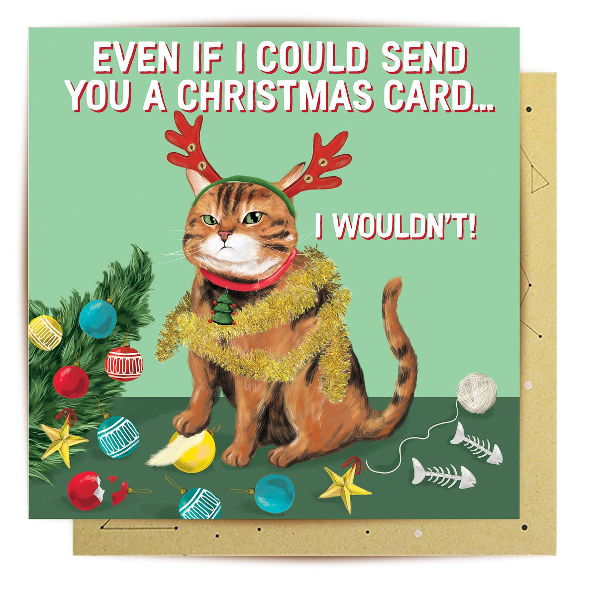 Naughty Cat Christmas Card