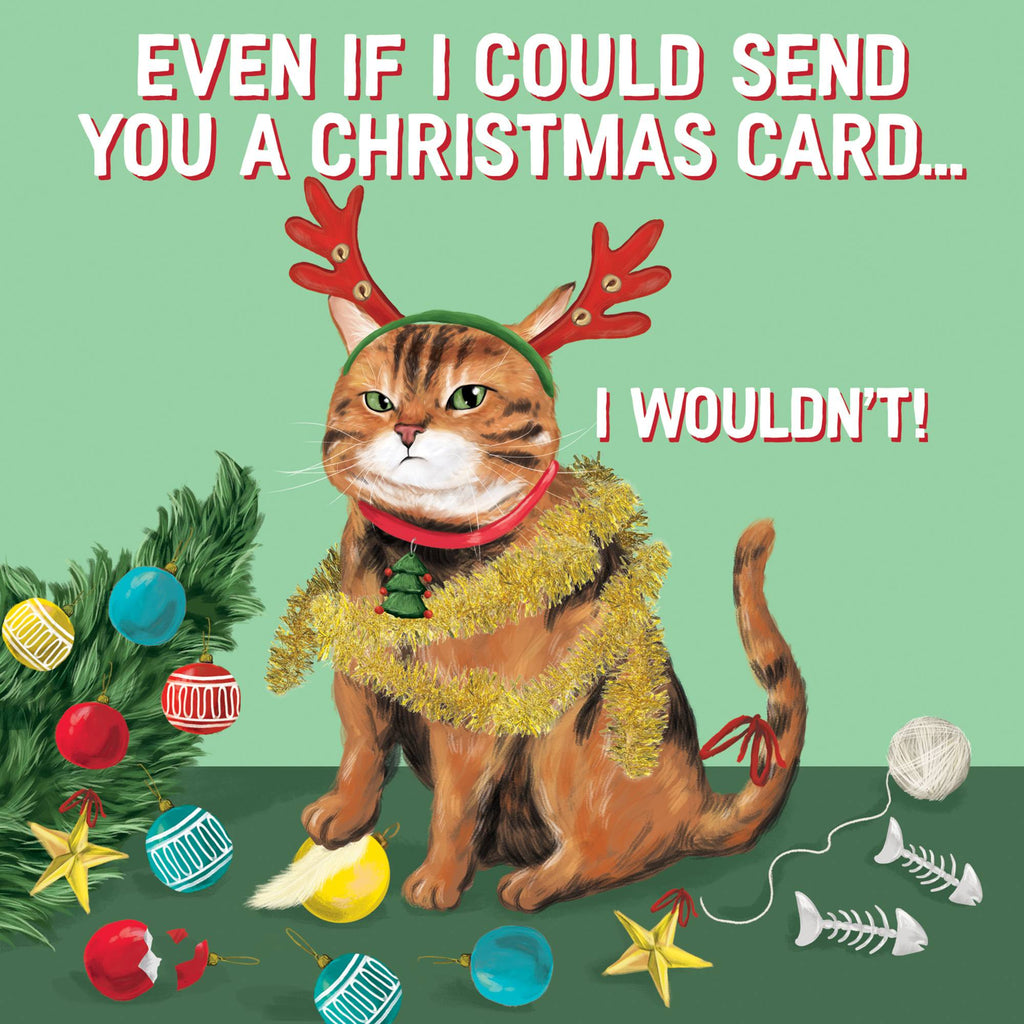 Naughty Cat Christmas Card