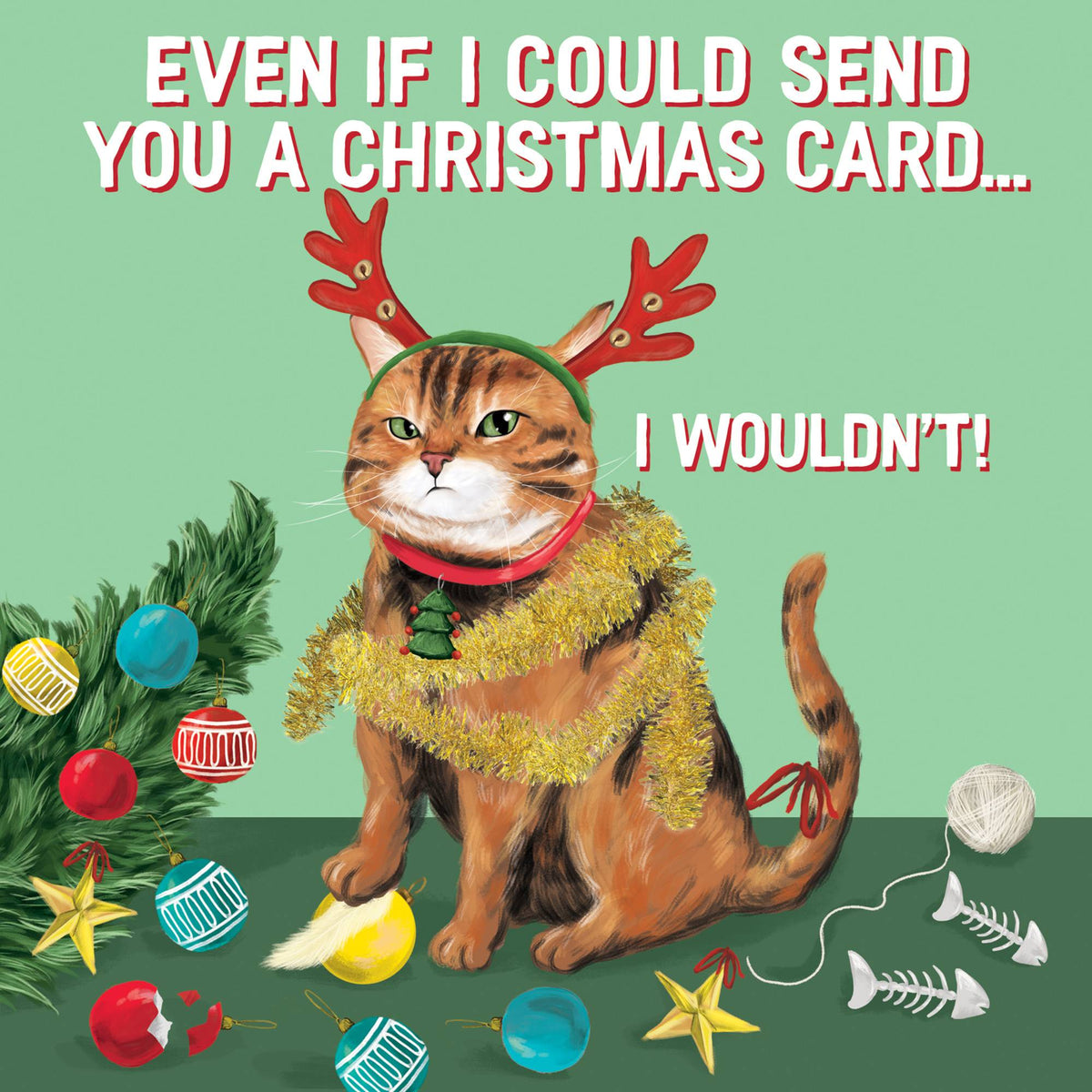 Naughty Cat Christmas Card