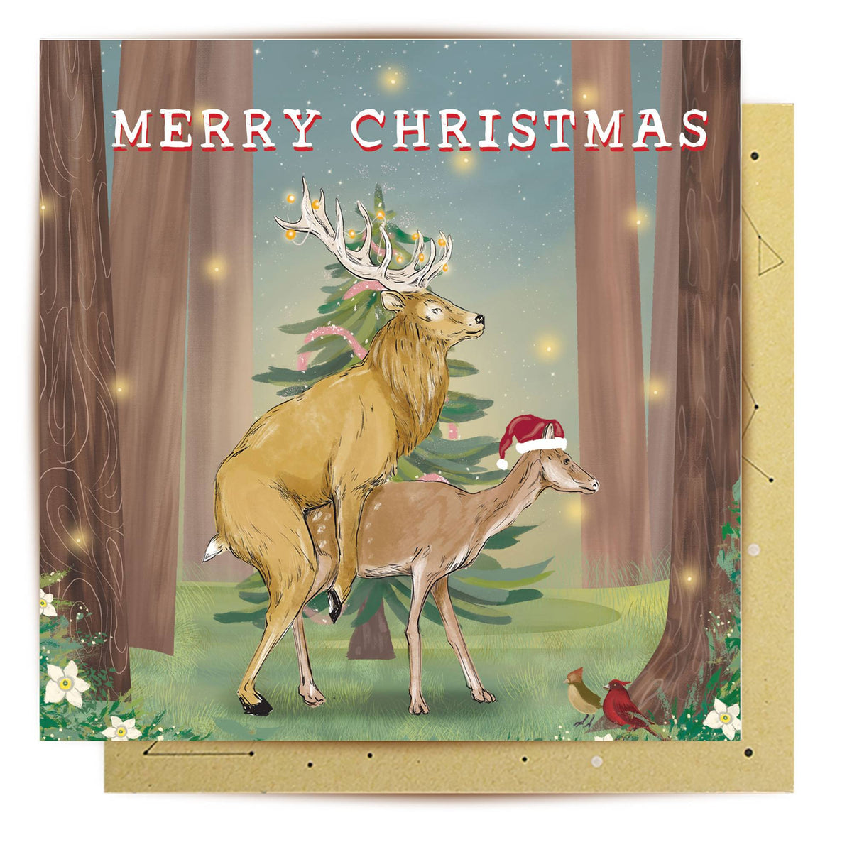 Cheeky Christmas Card