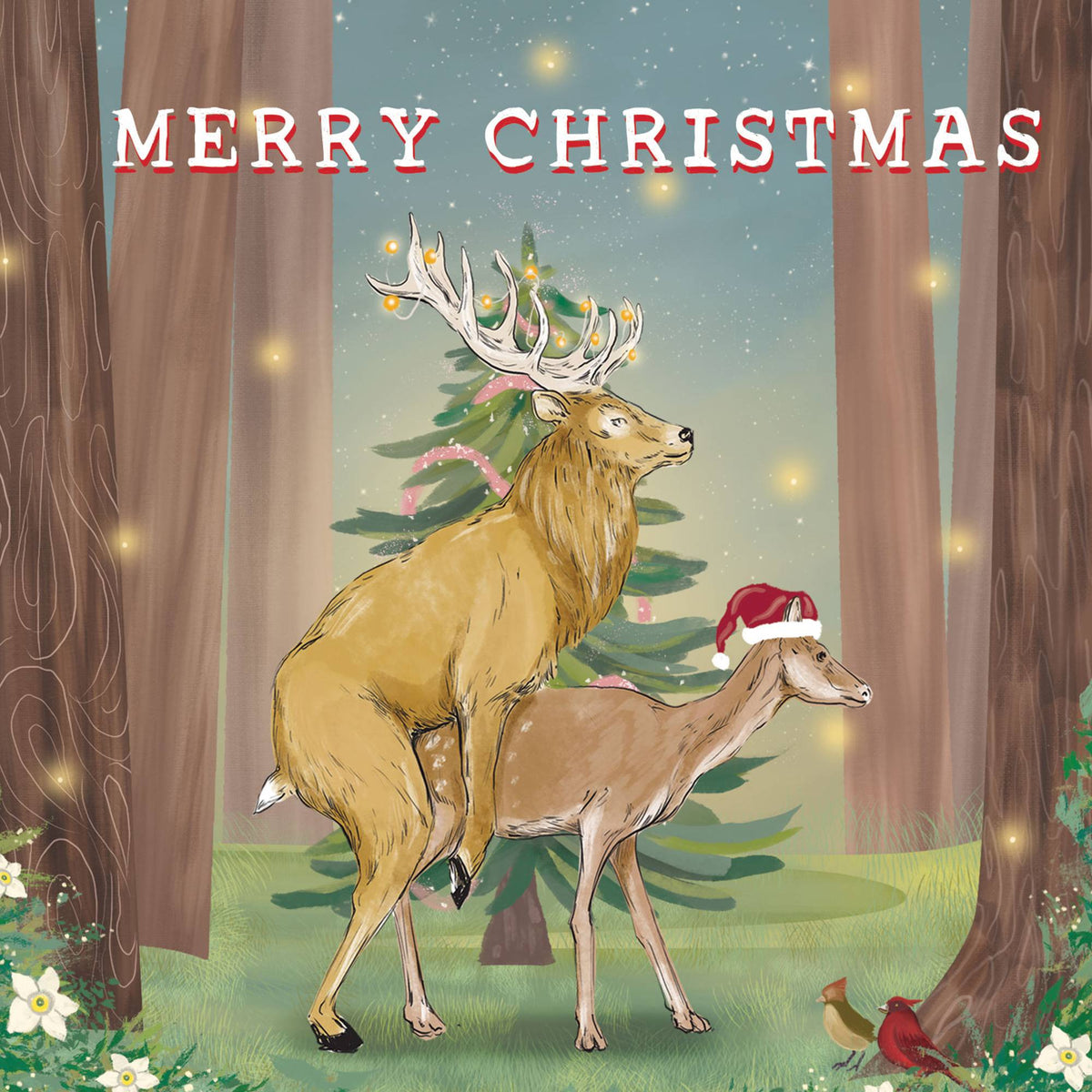 Cheeky Christmas Card