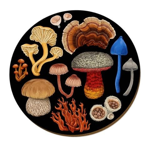 Placemat - Fungi Bolete