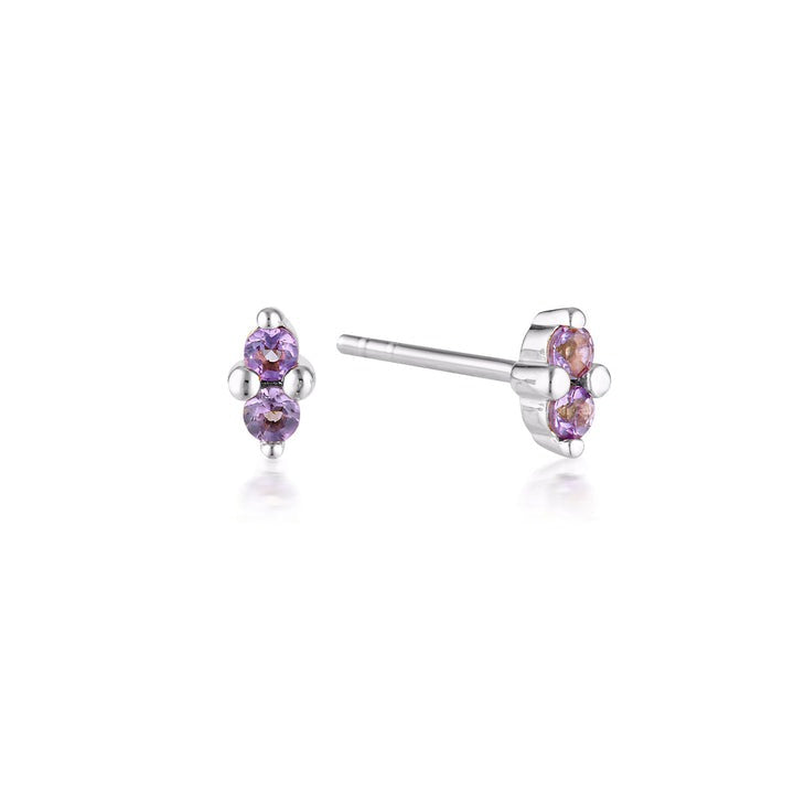 Silver Birth Stone Earrings