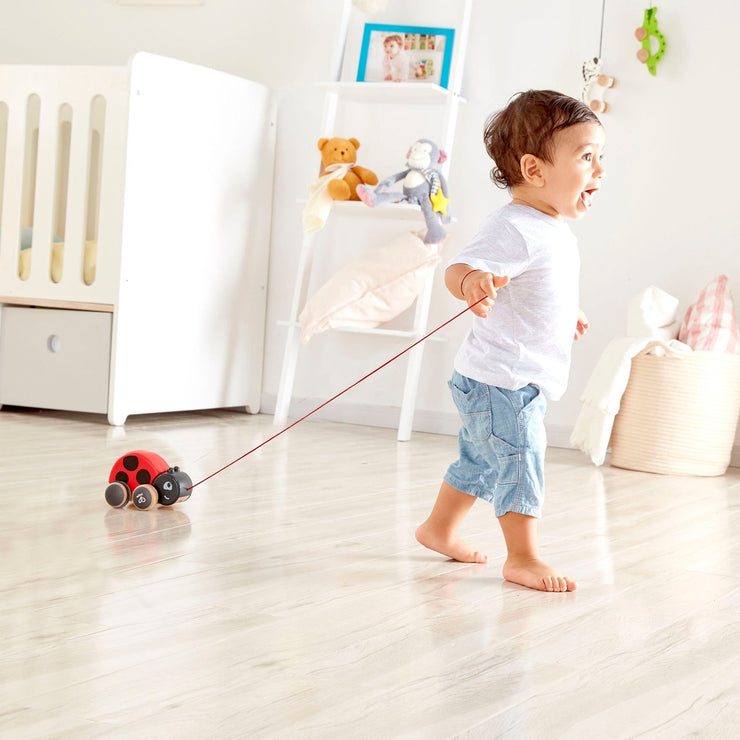 Hape Ladybug Pull Along