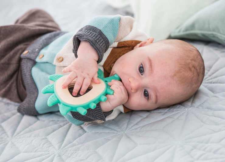 Teether Hedgehog