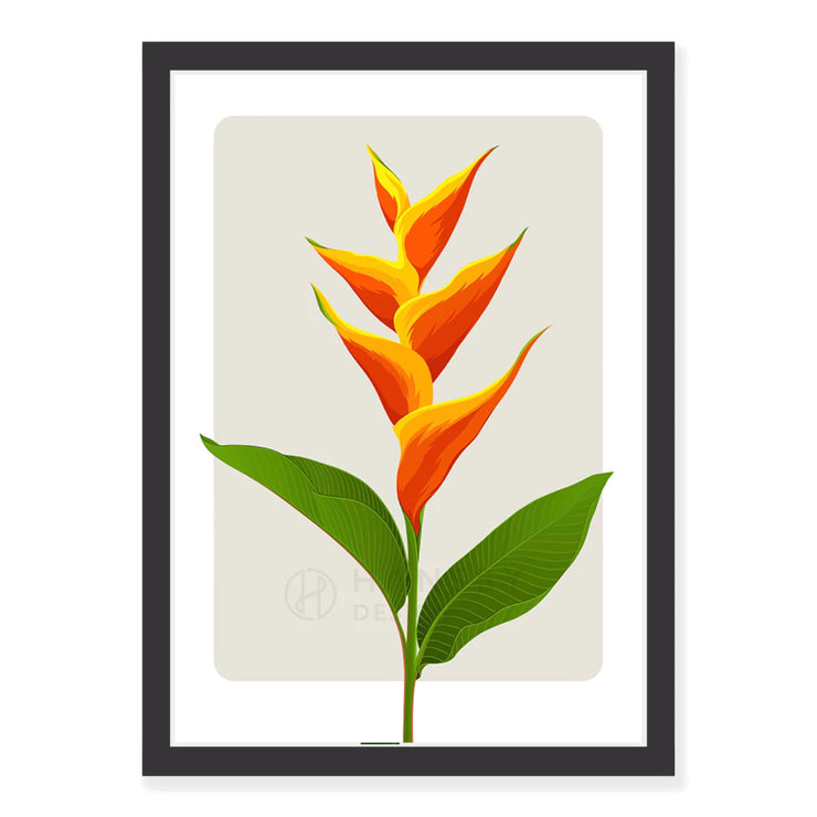 Botanical Fine Art Print -  Heliconia