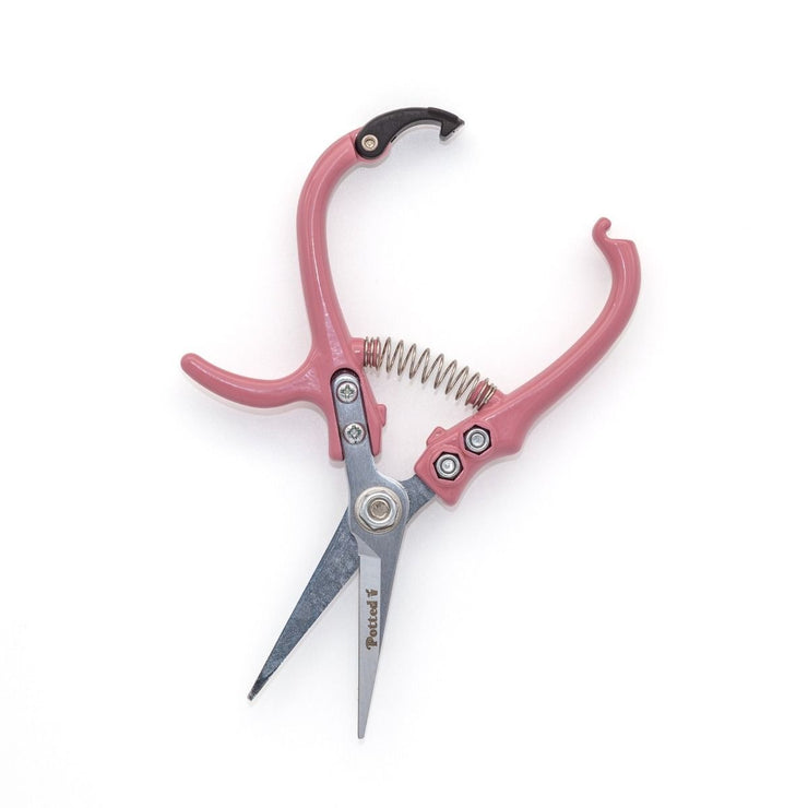 Indoor Plant Snips