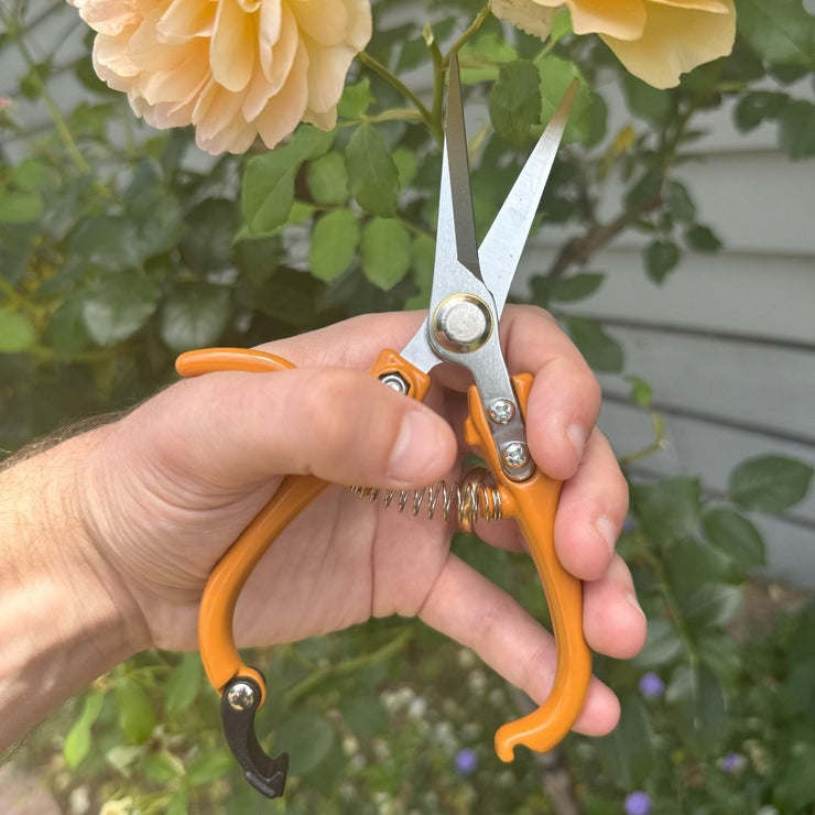 Indoor Plant Snips