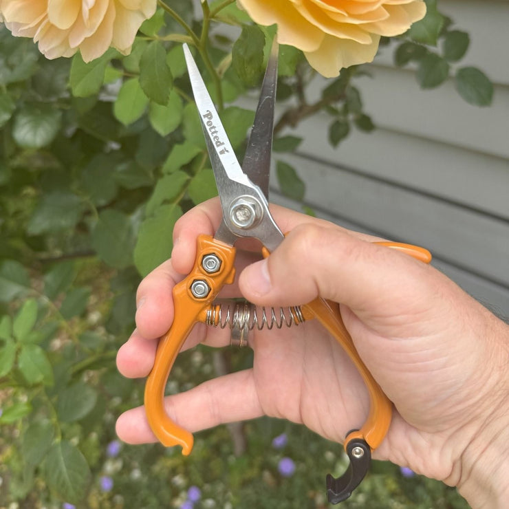 Indoor Plant Snips