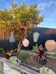 Lantern Balloon 35cm