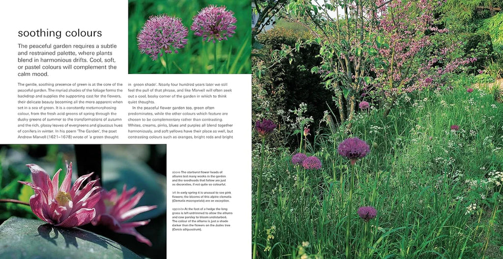 Mindful Garden