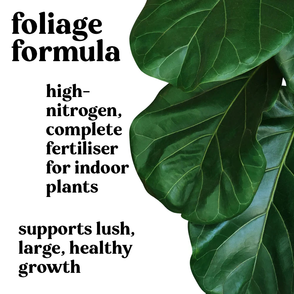 Indoor Plant Food