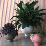 Orbit Planter - Jade