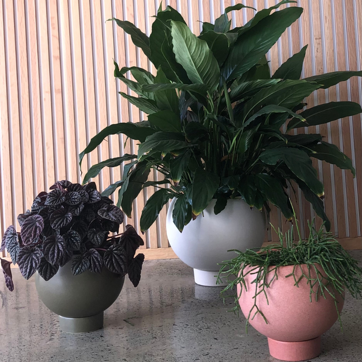 Orbit Planter - Jade