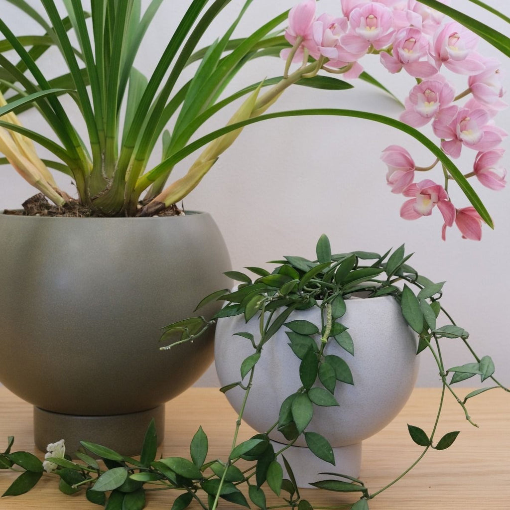 Orbit Planter - Oatmeal