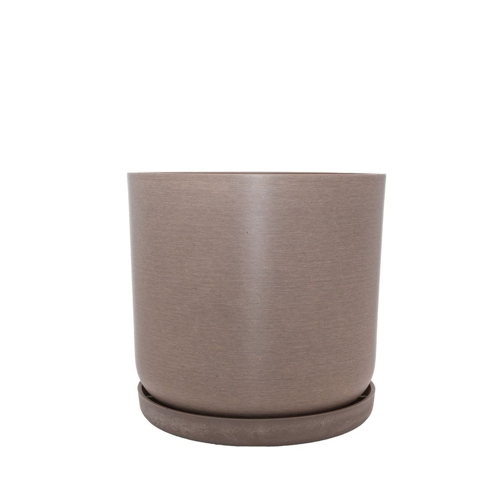 Portland Pots - Beechwood