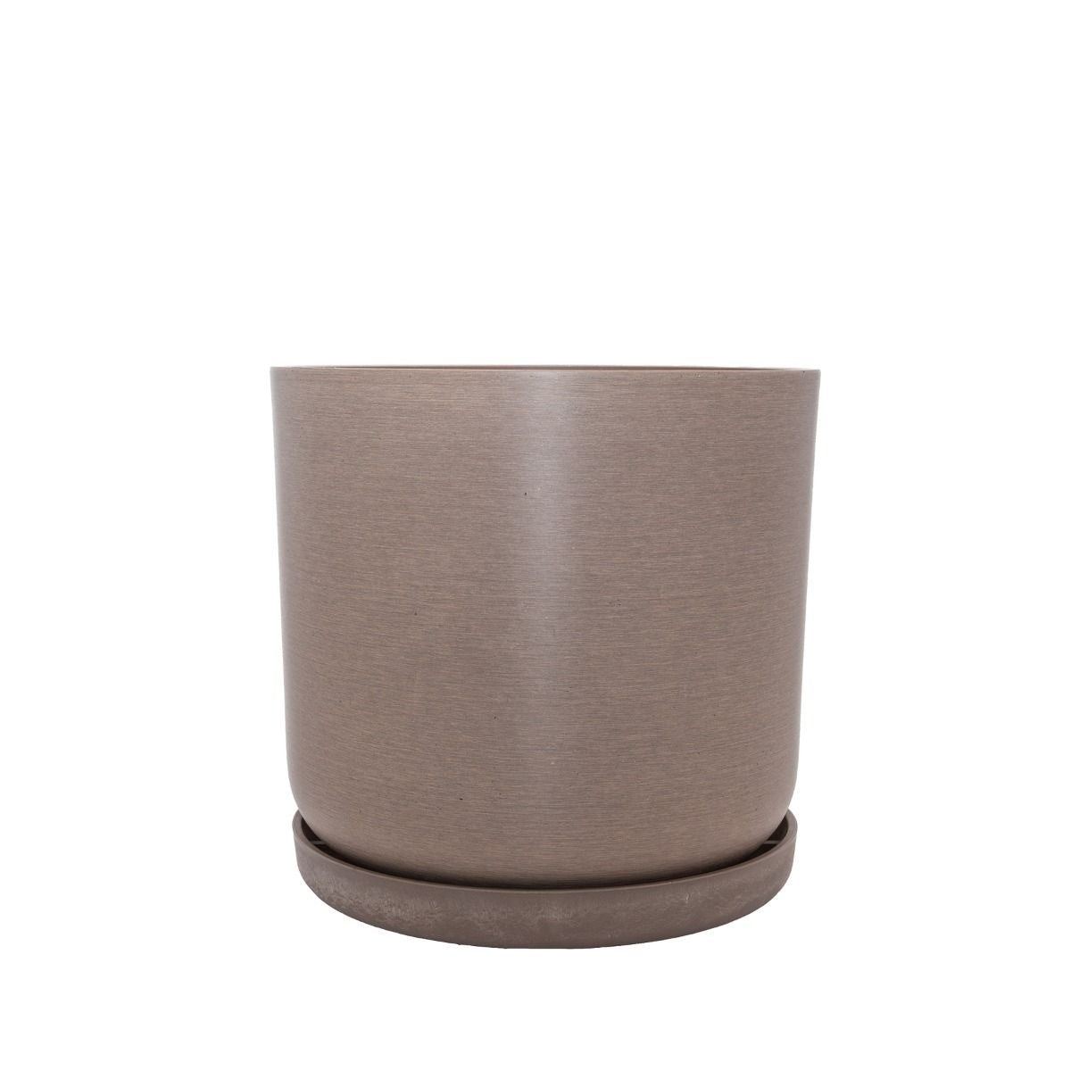 Portland Pots - Beechwood
