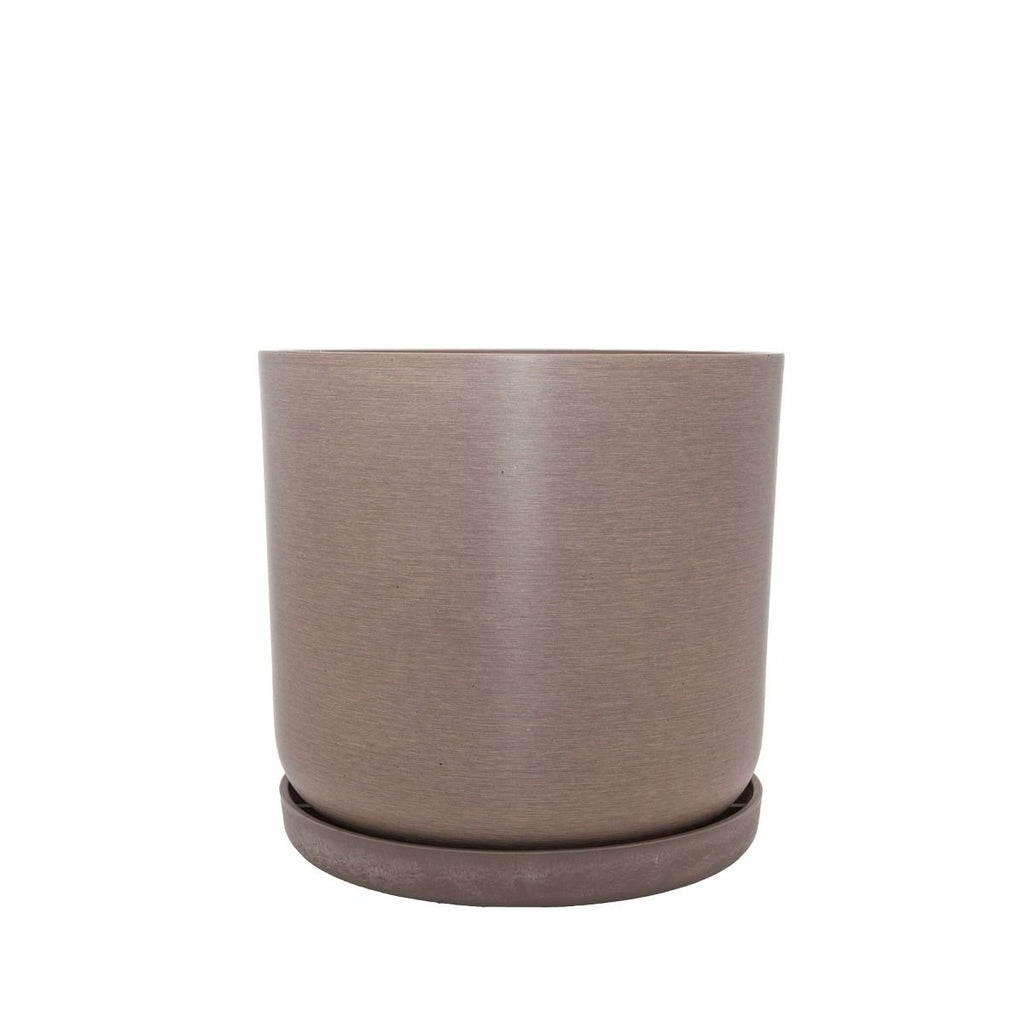 Portland Pots - Beechwood