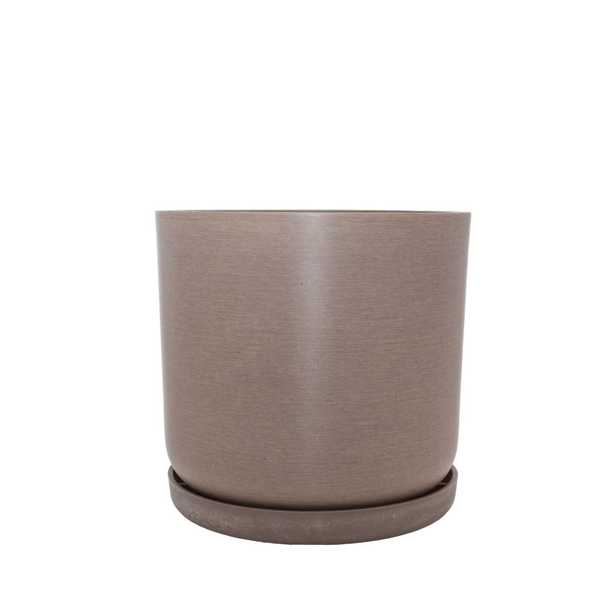 Portland Pots - Beechwood