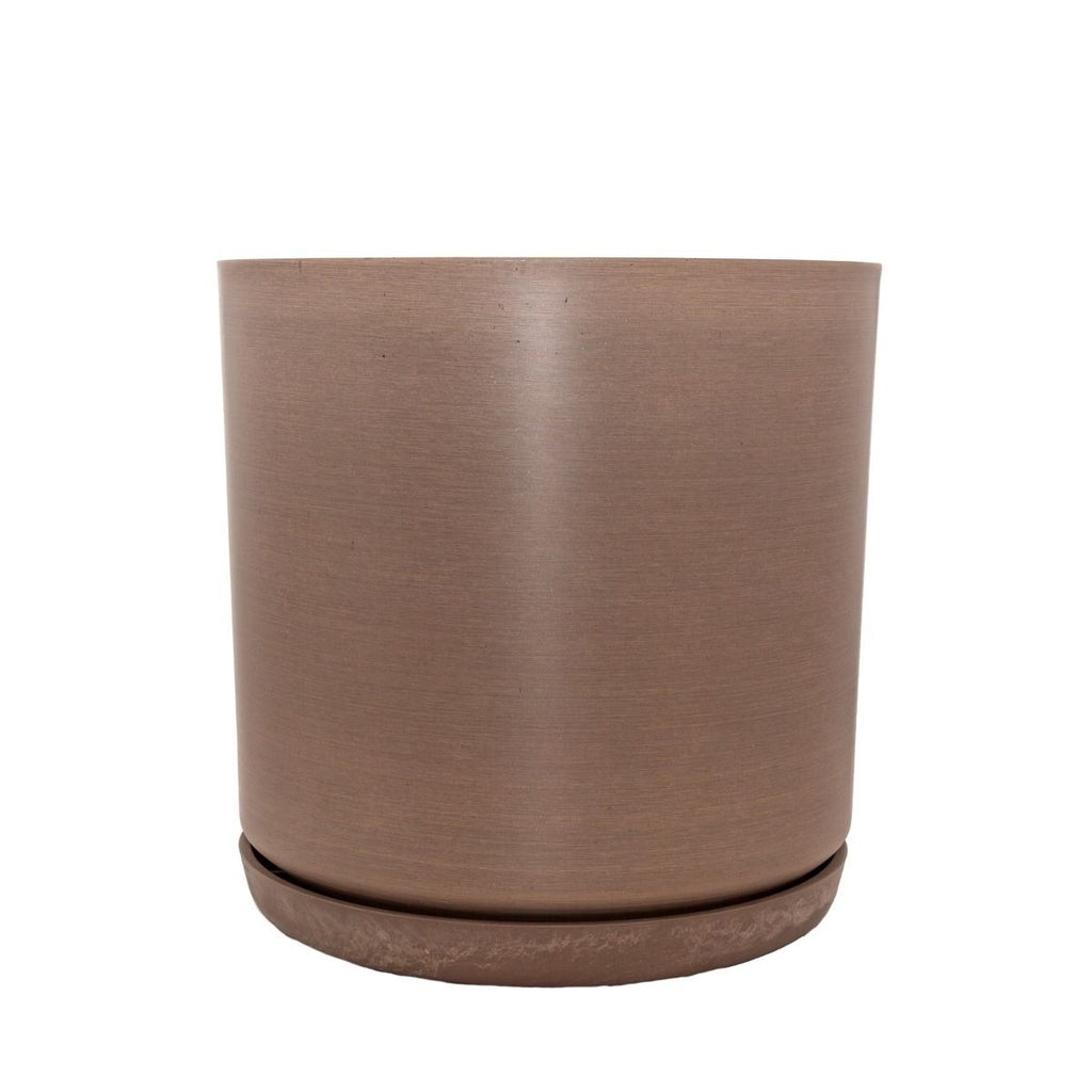 Portland Pots - Beechwood