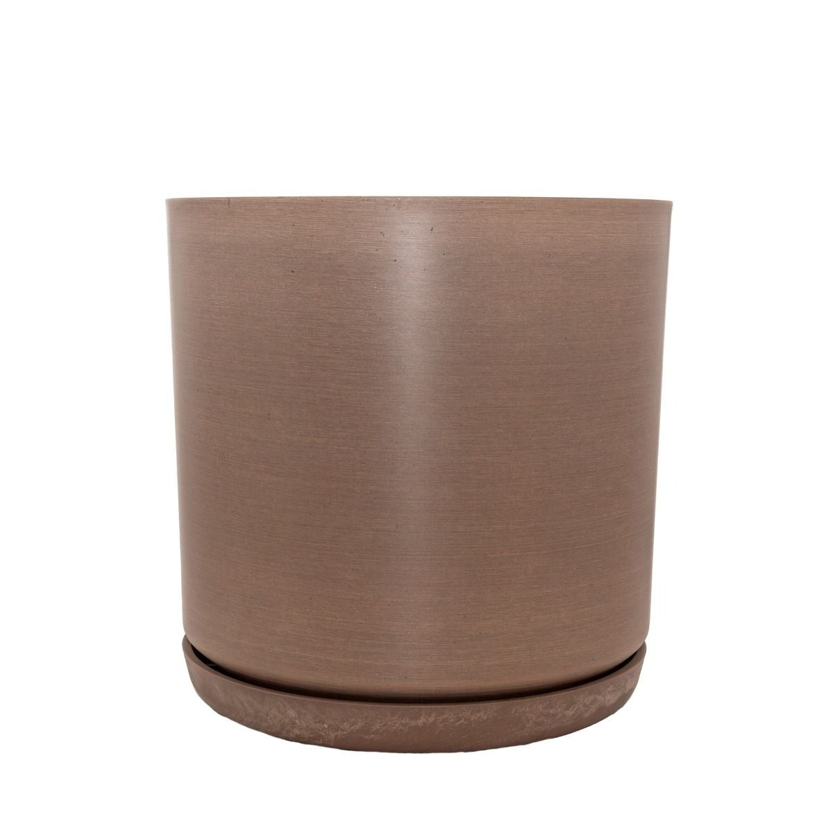 Portland Pots - Beechwood