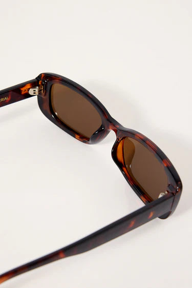 Sunderland Sunglasses - Turtle