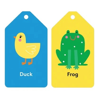 Flash Cards - Baby&