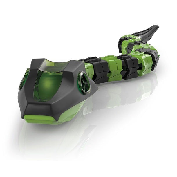 Science & Play - SlitherBot