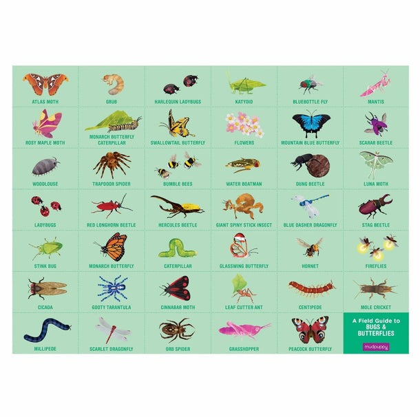 Search & Find Puzzle