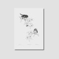 Coming Soon So This Is Love Miromiro Limited Edition Print