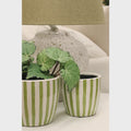 Lime Green Stripe Planters