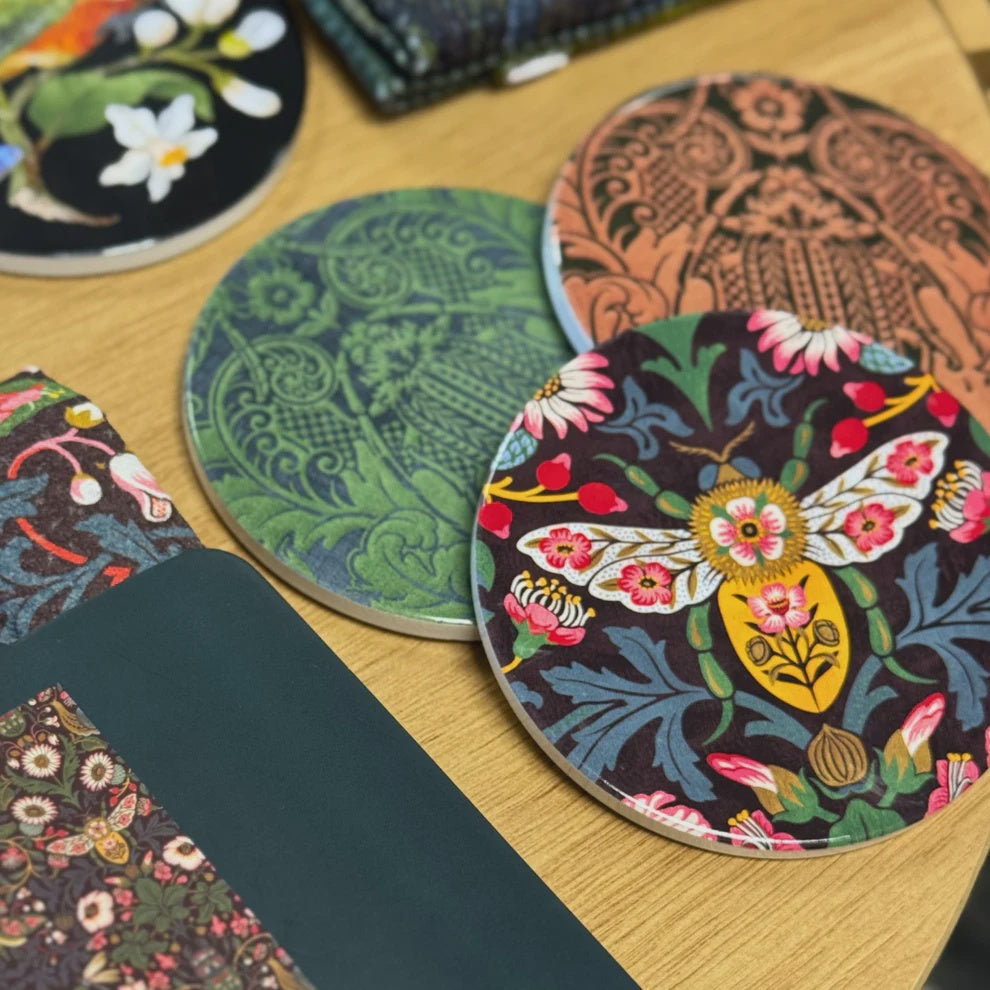 Tanya Wolfkamp Coaster