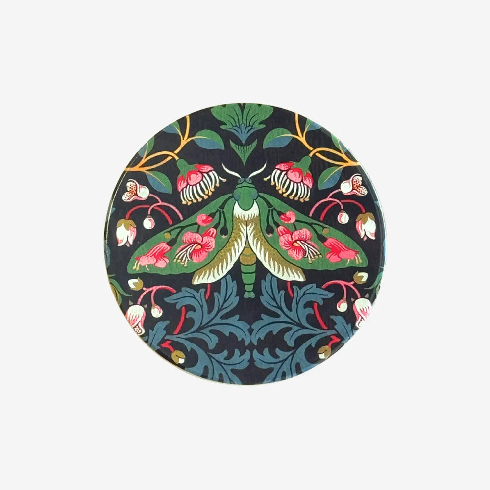 Tanya Wolfkamp Coaster
