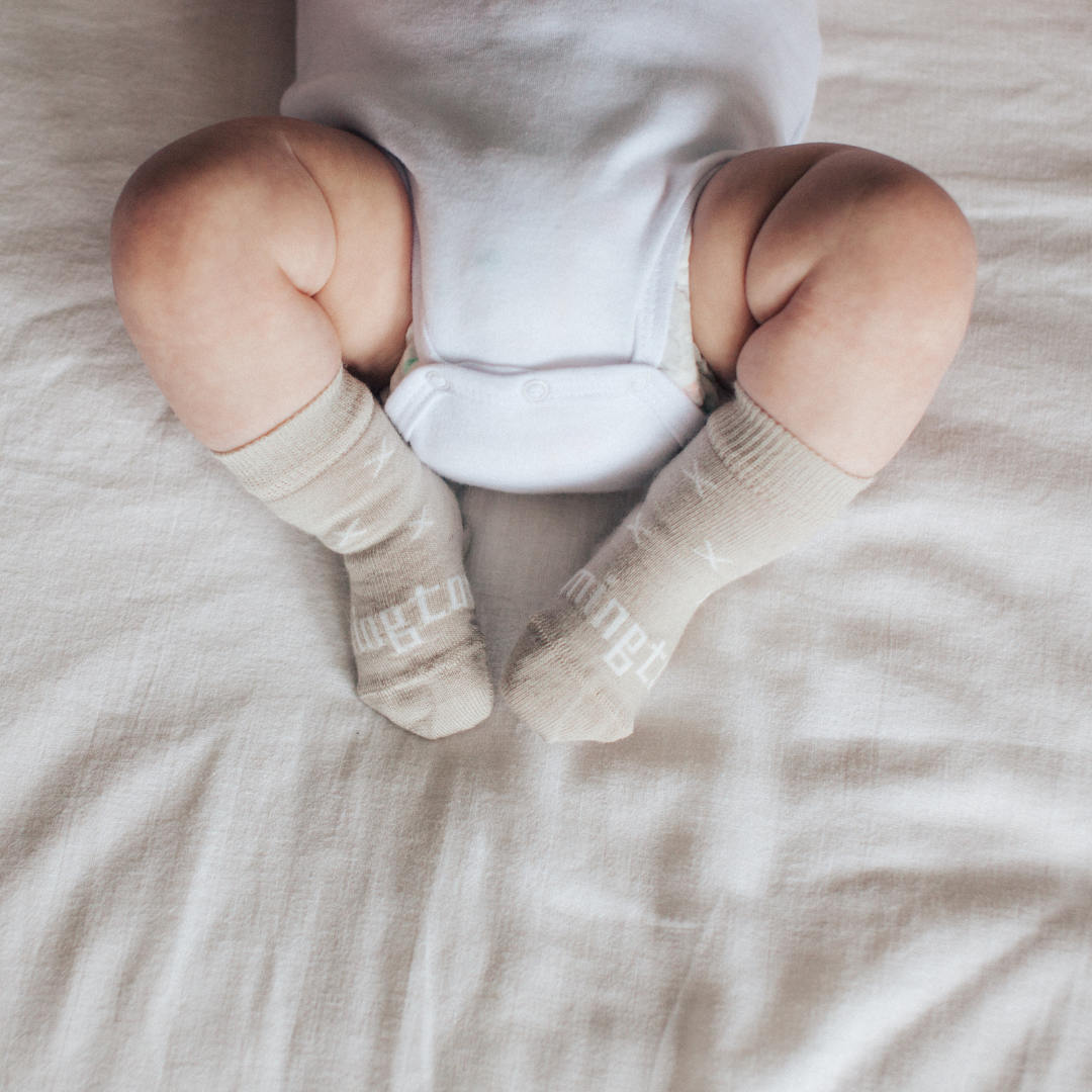 Lamington Crew Socks - Ted