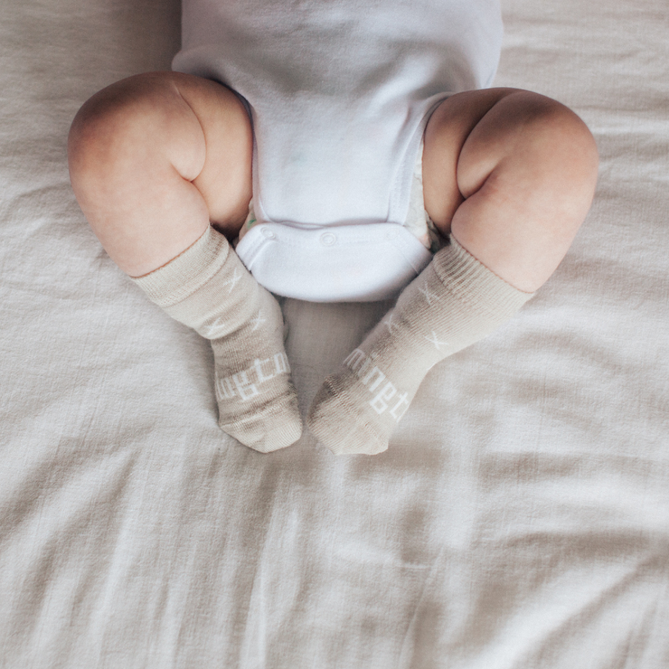 Lamington Crew Socks - Ted