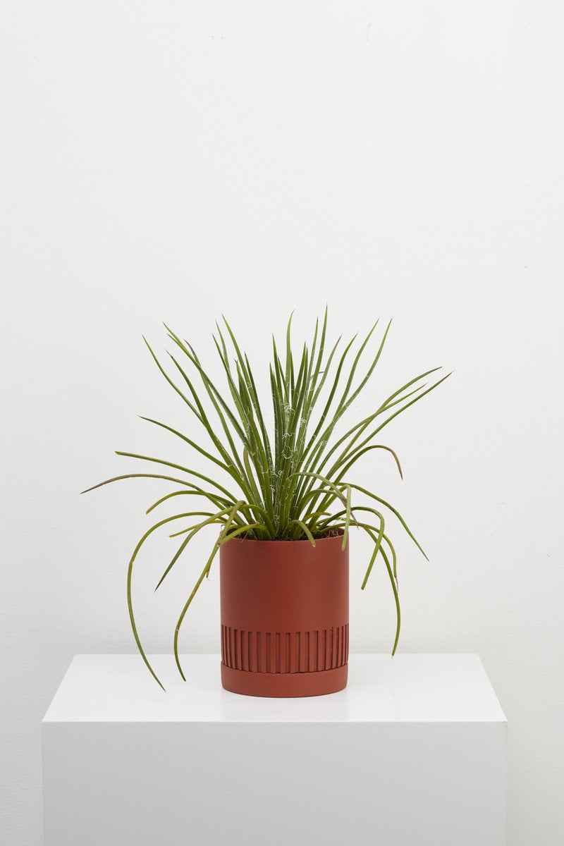Etch Planter Was $65 NOW