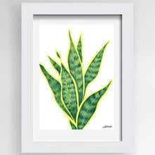 Sanseveria Print