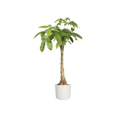 Recycled Plastic Planter Pot - White