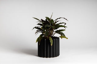 Alto Planter - Black