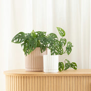 Athens Planter - White