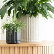 Athens Planter - Black