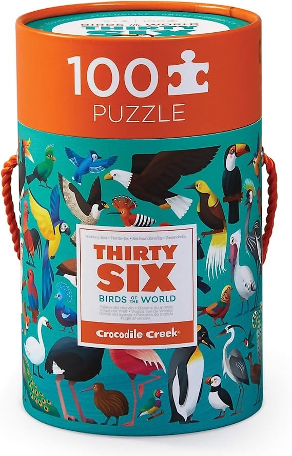 Cannister Puzzles - 100 Piece Assorted Styles