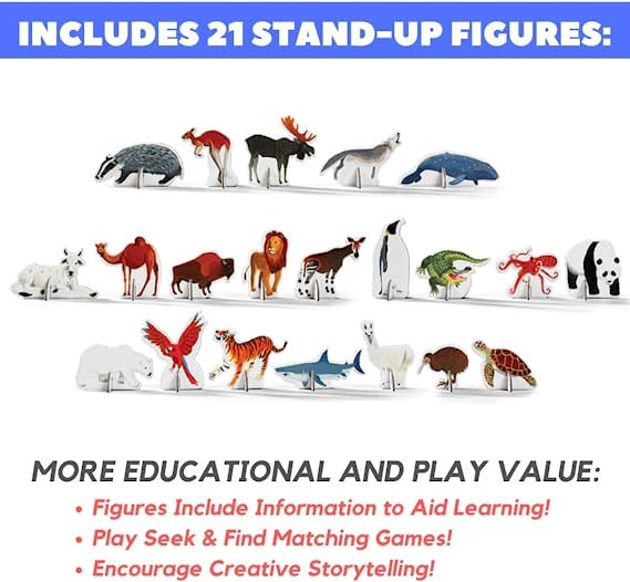Discover Puzzles - Assorted Styles